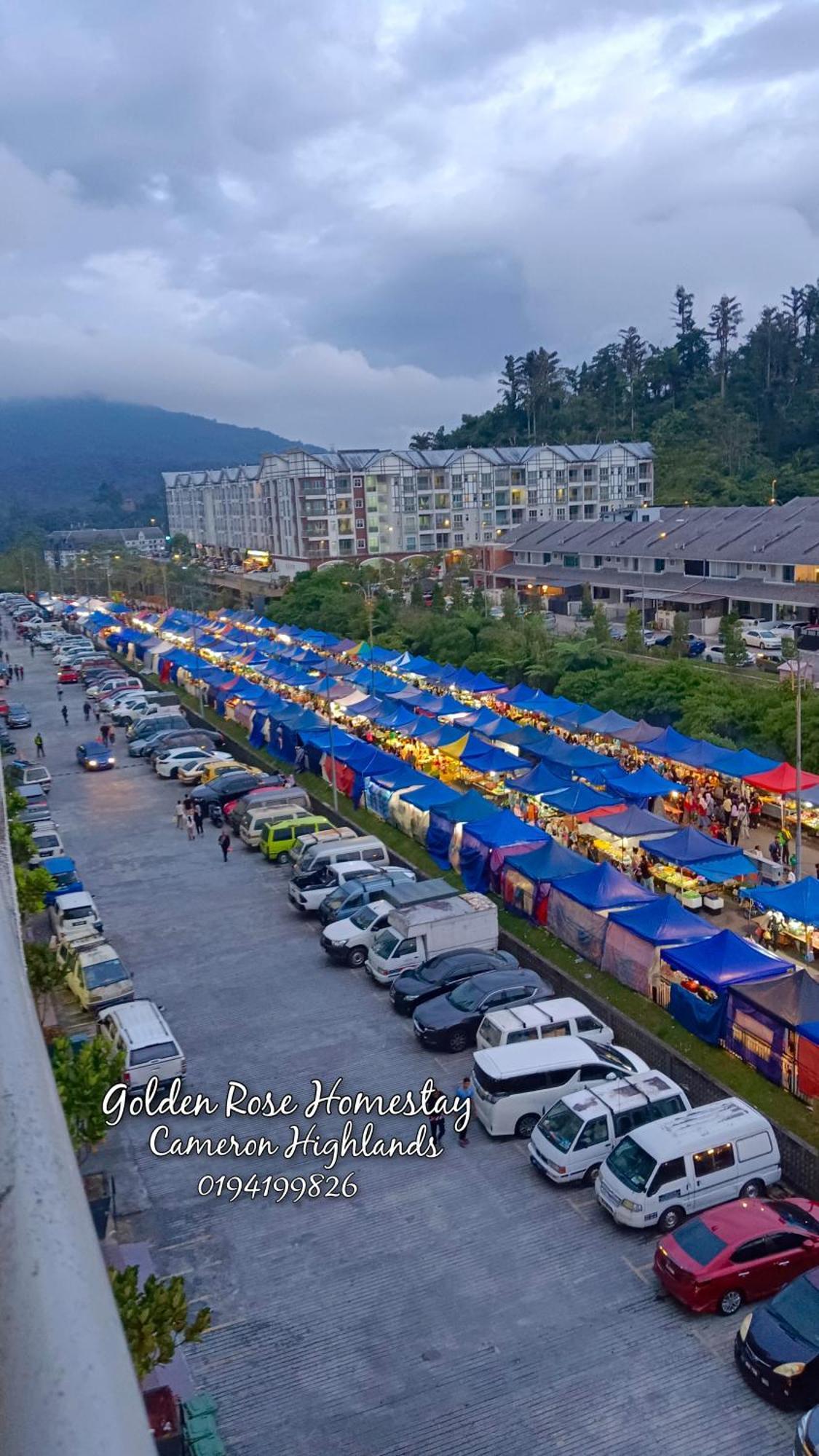Golden Rose Homestay Cameron Highlands 브린창 외부 사진
